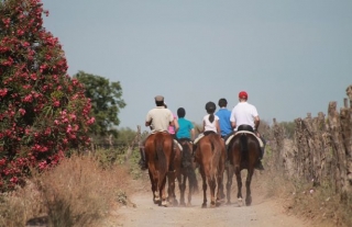  family horseback riding